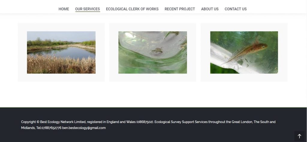 Services page – Bestecology – Website design London