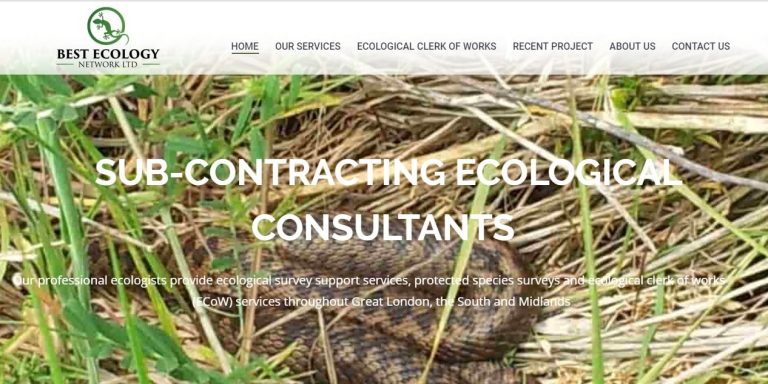 web design company london