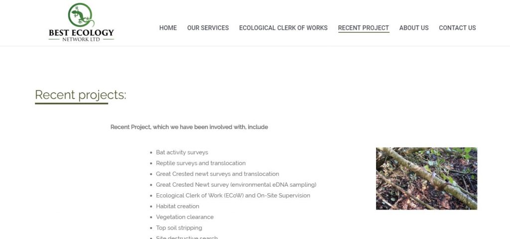 Recent projects page – Best Ecology – Website design London