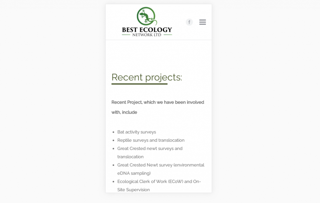 Mobile page – Recent projects – Web design company London