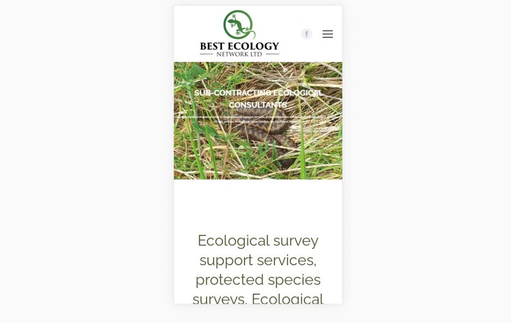 Ecological consultant – mobile – Web design company London