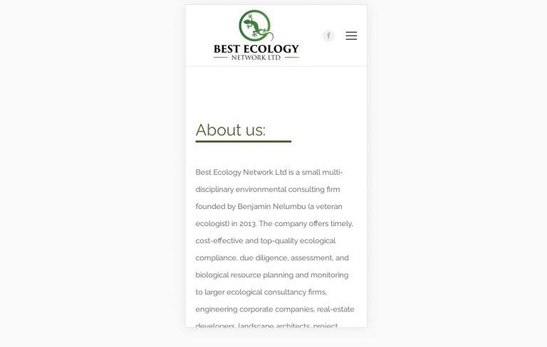 Web design company London2