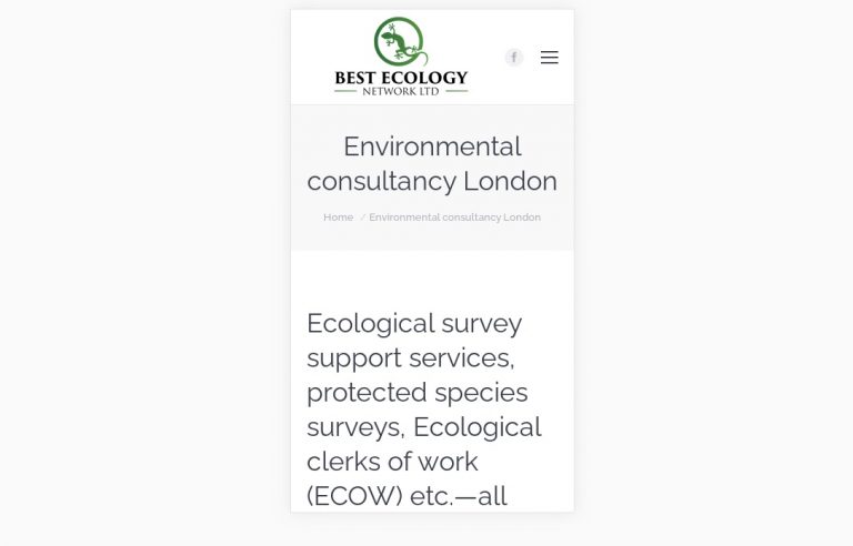Website design London2
