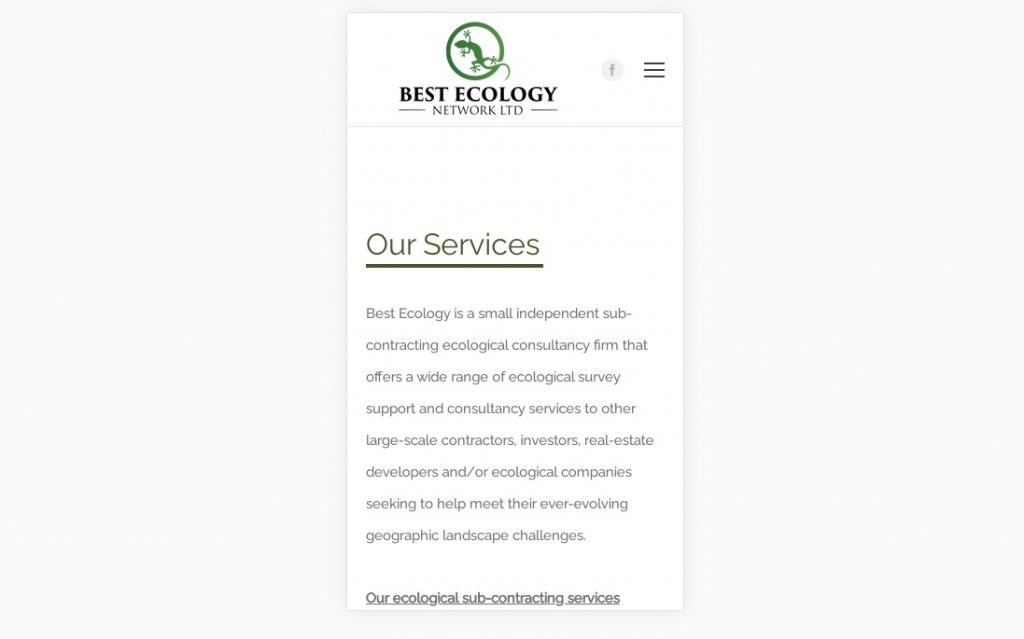 Our Services page – mobile – Website design London