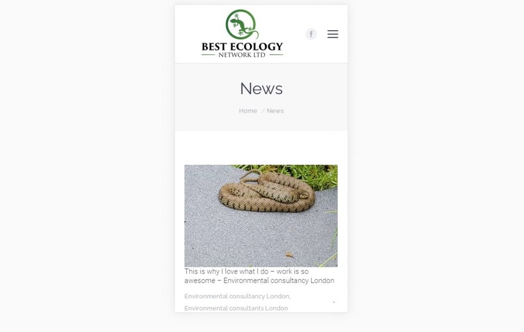 News consultant page – mobile – Web design Luton