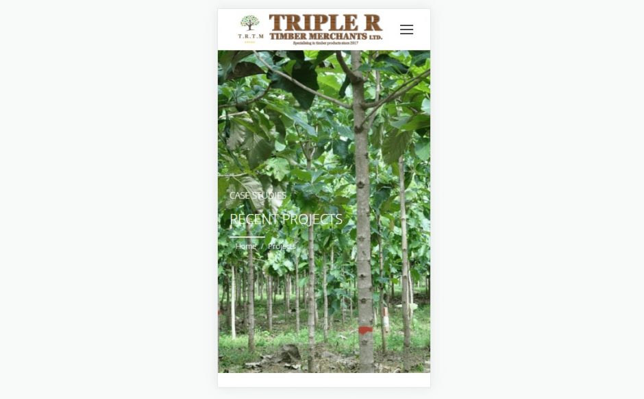 Wood for furniture business web design London  wants