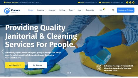 Custom website design