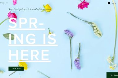 Web design agency York